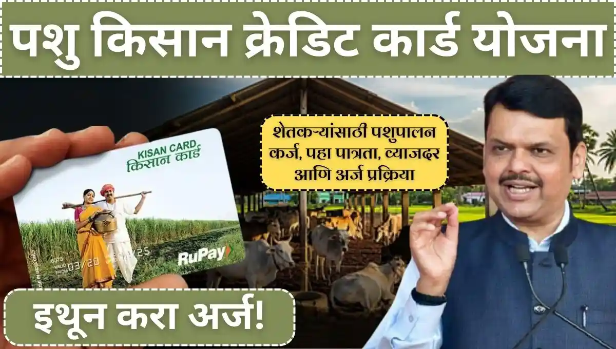 Pashu kisan credit card yojana: पशु किसान क्रेडिट कार्ड योजना; शेतकऱ्यांसाठी पशुपालन कर्ज, पहा पात्रता, व्याजदर आणि अर्ज प्रक्रिया